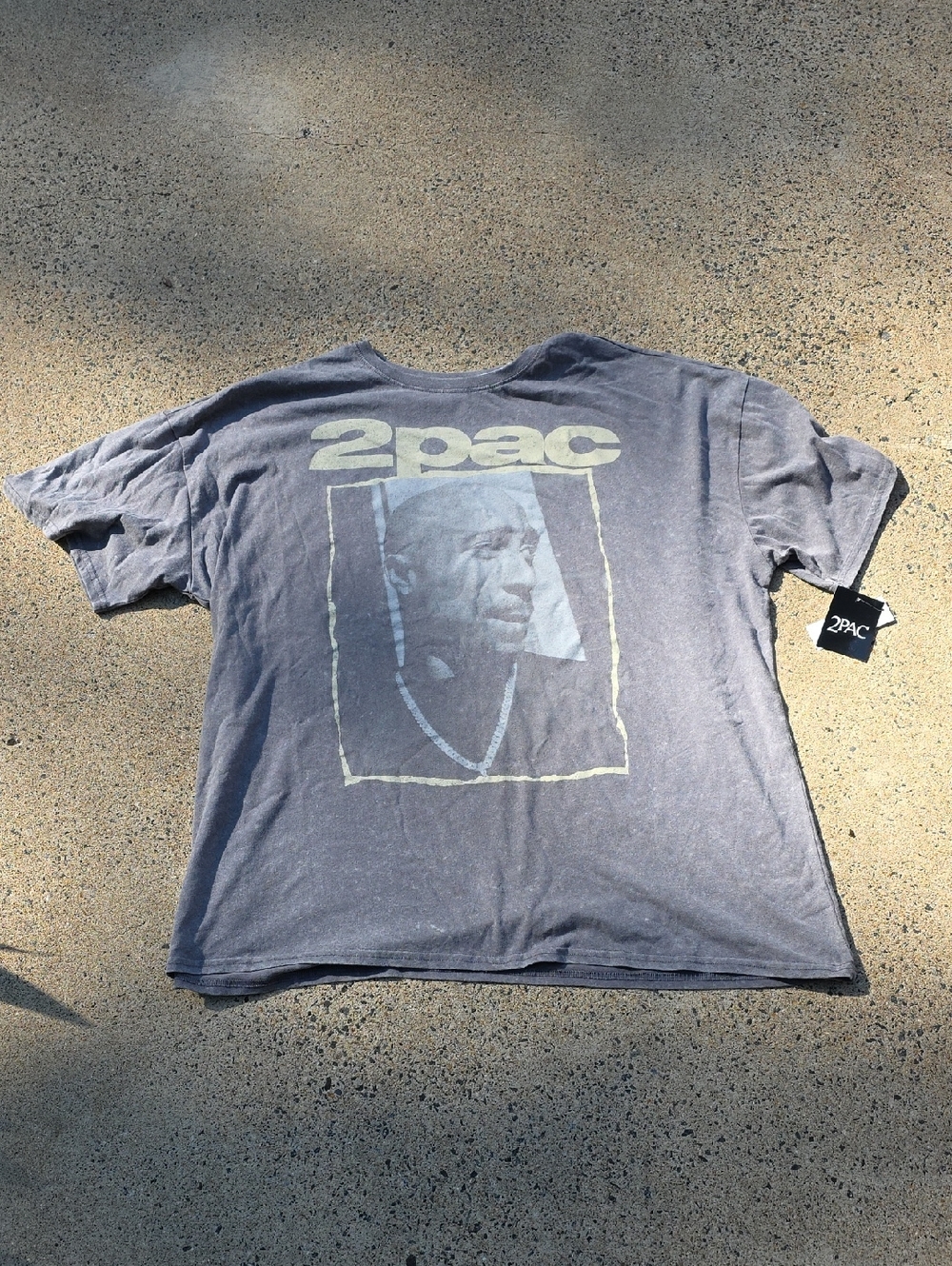 2Pac Tupac Graphic Short Sleeve Tee in Faded Gray